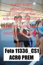 11336_CS1-ACRO-PREM