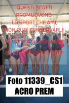 11339_CS1-ACRO-PREM