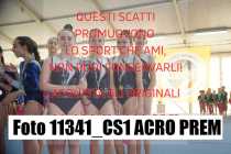 11341_CS1-ACRO-PREM
