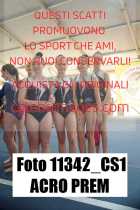 11342_CS1-ACRO-PREM