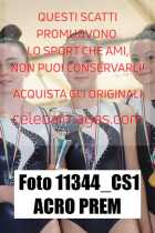 11344_CS1-ACRO-PREM