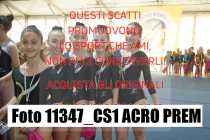 11347_CS1-ACRO-PREM