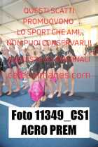 11349_CS1-ACRO-PREM