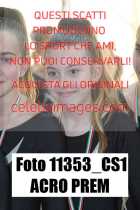11353_CS1-ACRO-PREM