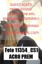 11354_CS1-ACRO-PREM