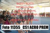 11355_CS1-ACRO-PREM