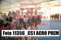 11356_CS1-ACRO-PREM