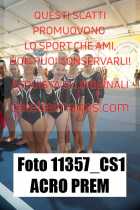 11357_CS1-ACRO-PREM