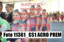 11361_CS1-ACRO-PREM