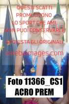 11366_CS1-ACRO-PREM