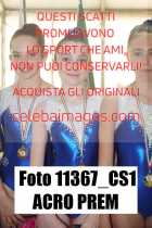 11367_CS1-ACRO-PREM