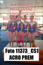 11373_CS1-ACRO-PREM