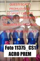 11375_CS1-ACRO-PREM