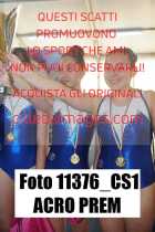 11376_CS1-ACRO-PREM