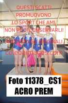 11378_CS1-ACRO-PREM