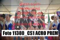 11380_CS1-ACRO-PREM