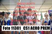11381_CS1-ACRO-PREM
