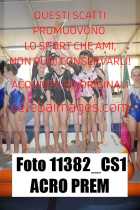 11382_CS1-ACRO-PREM