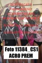 11384_CS1-ACRO-PREM