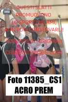 11385_CS1-ACRO-PREM