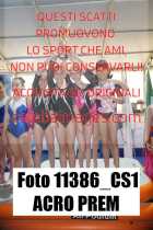 11386_CS1-ACRO-PREM