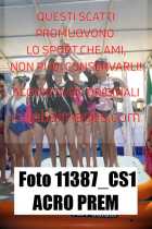 11387_CS1-ACRO-PREM