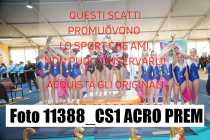 11388_CS1-ACRO-PREM