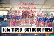 11390_CS1-ACRO-PREM