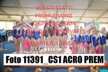 11391_CS1-ACRO-PREM