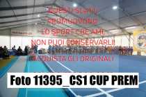 11395_CS1-CUP-PREM