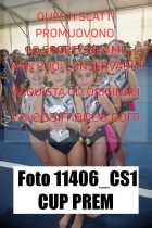 11406_CS1-CUP-PREM