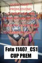 11407_CS1-CUP-PREM