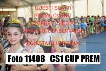 11408_CS1-CUP-PREM