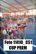 11410_CS1-CUP-PREM