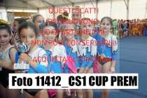 11412_CS1-CUP-PREM