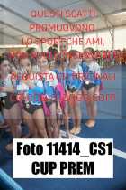 11414_CS1-CUP-PREM
