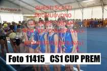 11415_CS1-CUP-PREM