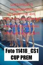 11418_CS1-CUP-PREM