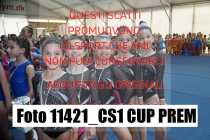 11421_CS1-CUP-PREM