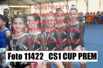 11422_CS1-CUP-PREM