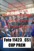 11423_CS1-CUP-PREM