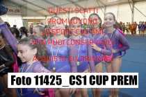 11425_CS1-CUP-PREM