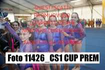 11426_CS1-CUP-PREM
