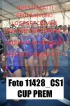 11428_CS1-CUP-PREM