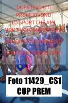 11429_CS1-CUP-PREM