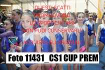 11431_CS1-CUP-PREM