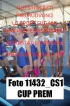11432_CS1-CUP-PREM