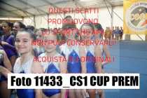 11433_CS1-CUP-PREM