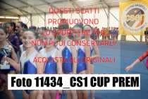 11434_CS1-CUP-PREM