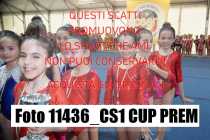 11436_CS1-CUP-PREM